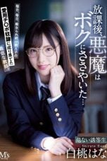 mvsd00496pl-e1765468695678