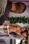 med-2-scaled-e1783910230281